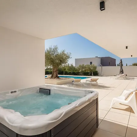 Vila Vivi Rent - Old Olive Viii